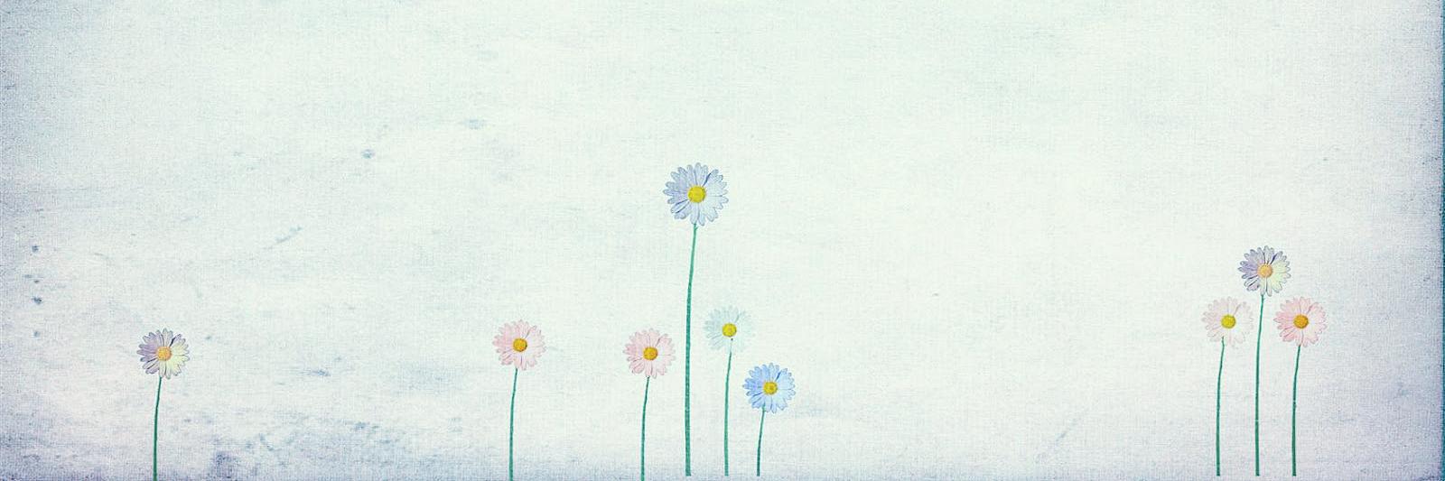 minseoked's profile banner image