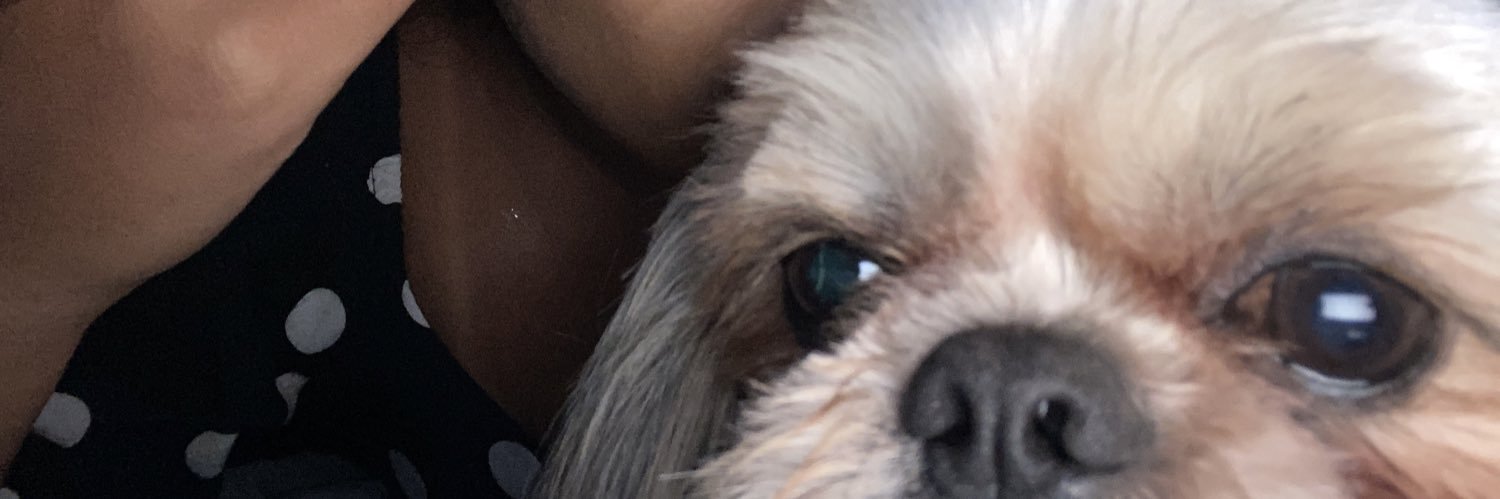 KiaraReis's profile banner image