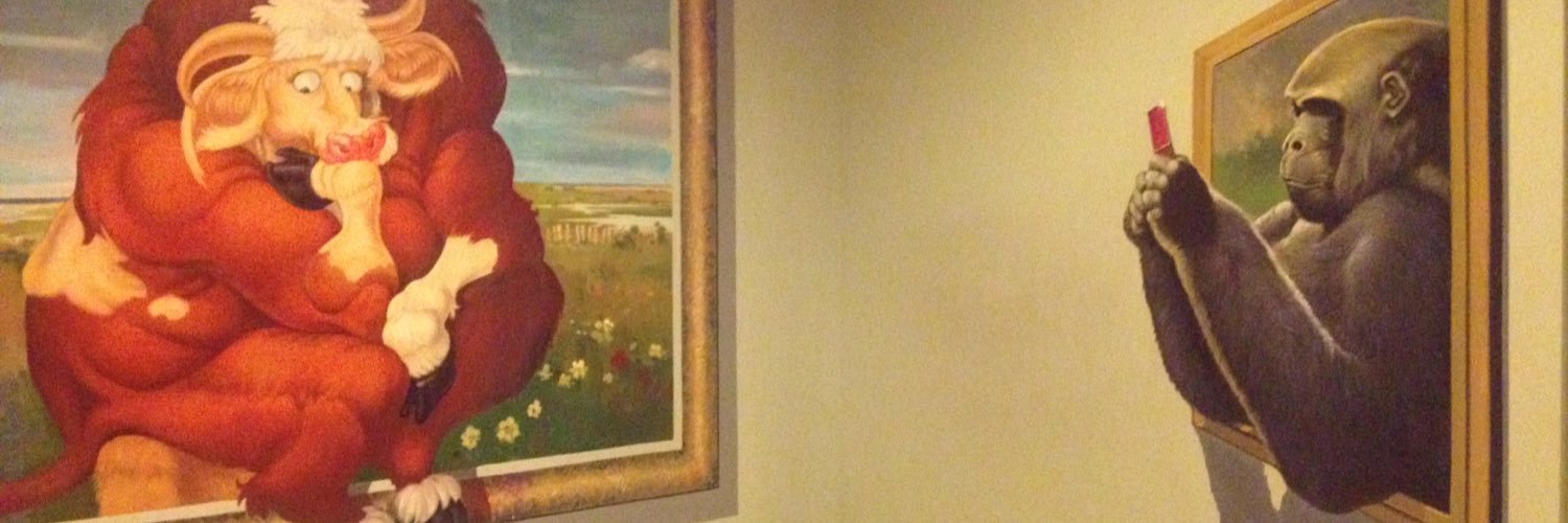 sehn12's profile banner image