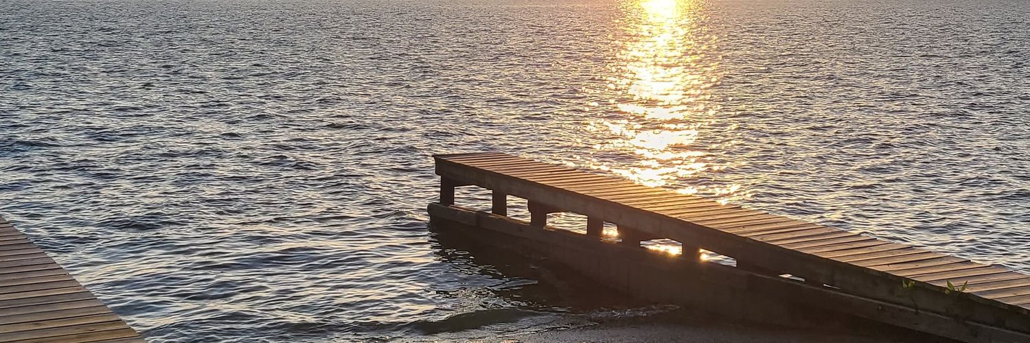 FordGuy36's profile banner image