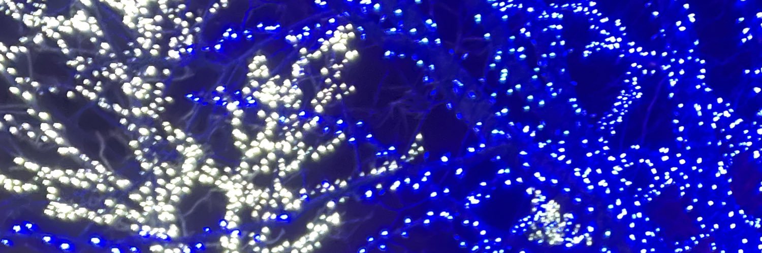 fawk_amandalee's profile banner image