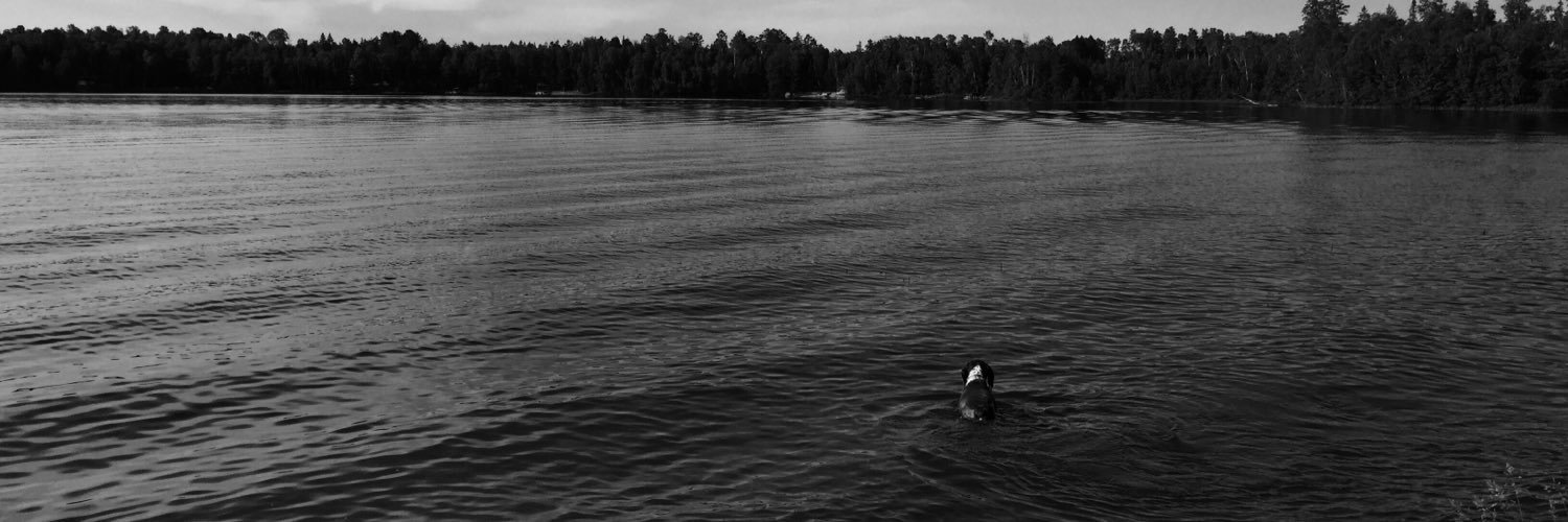 Amber Fryklund banner