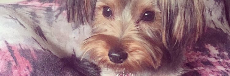 krys_speaks's profile banner image