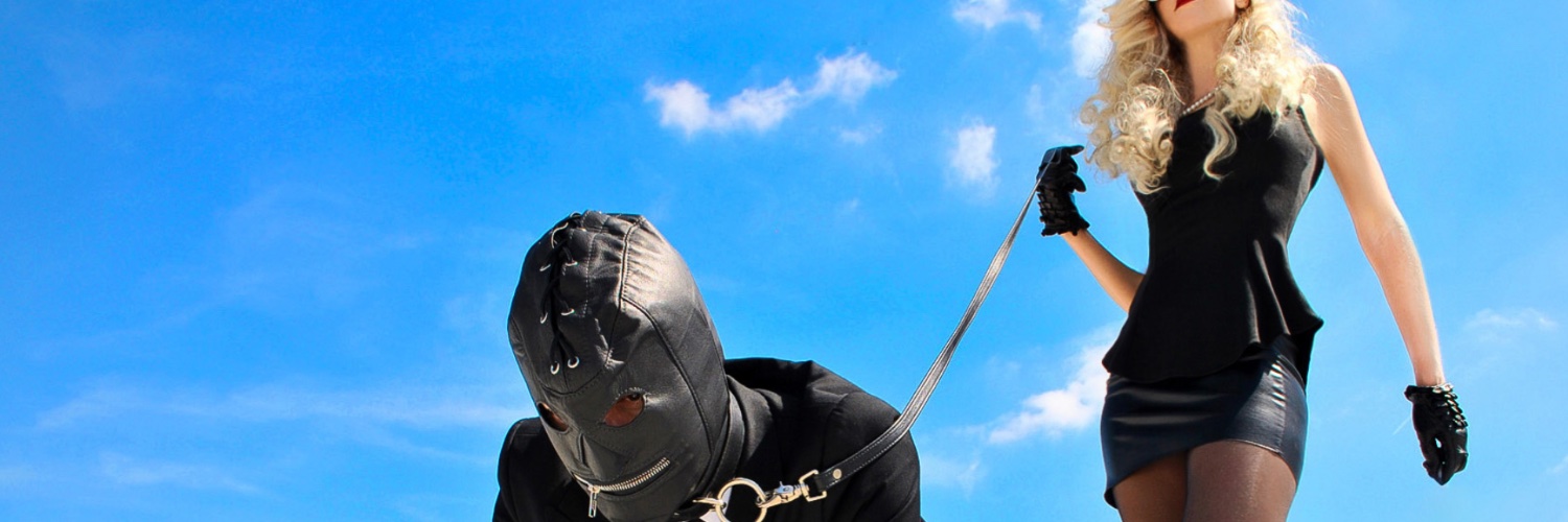MissTracyDallas's profile banner image