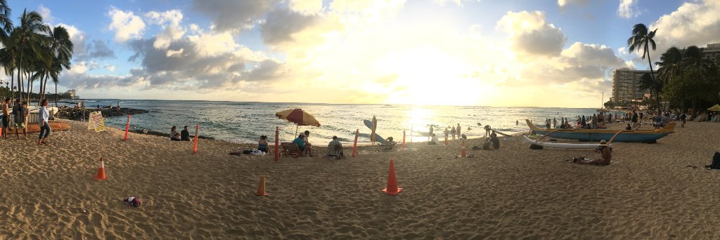 Vice Chair, Face-Eating Leopards Party banner