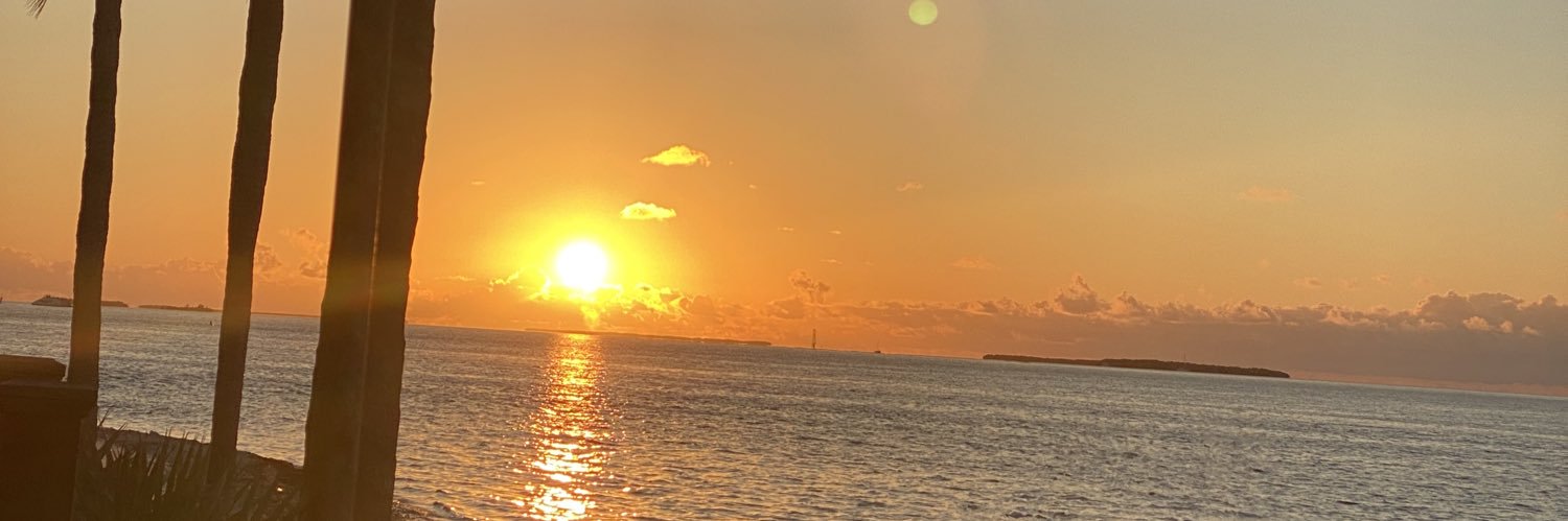 xodanimariee's profile banner image