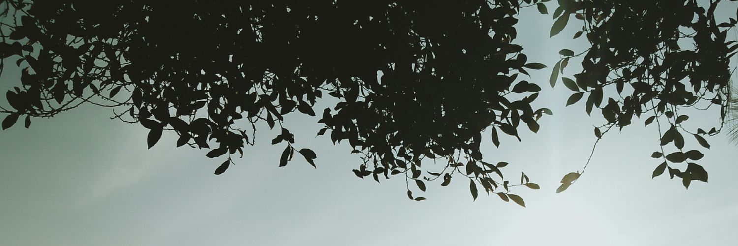 AnggunAiko's profile banner image