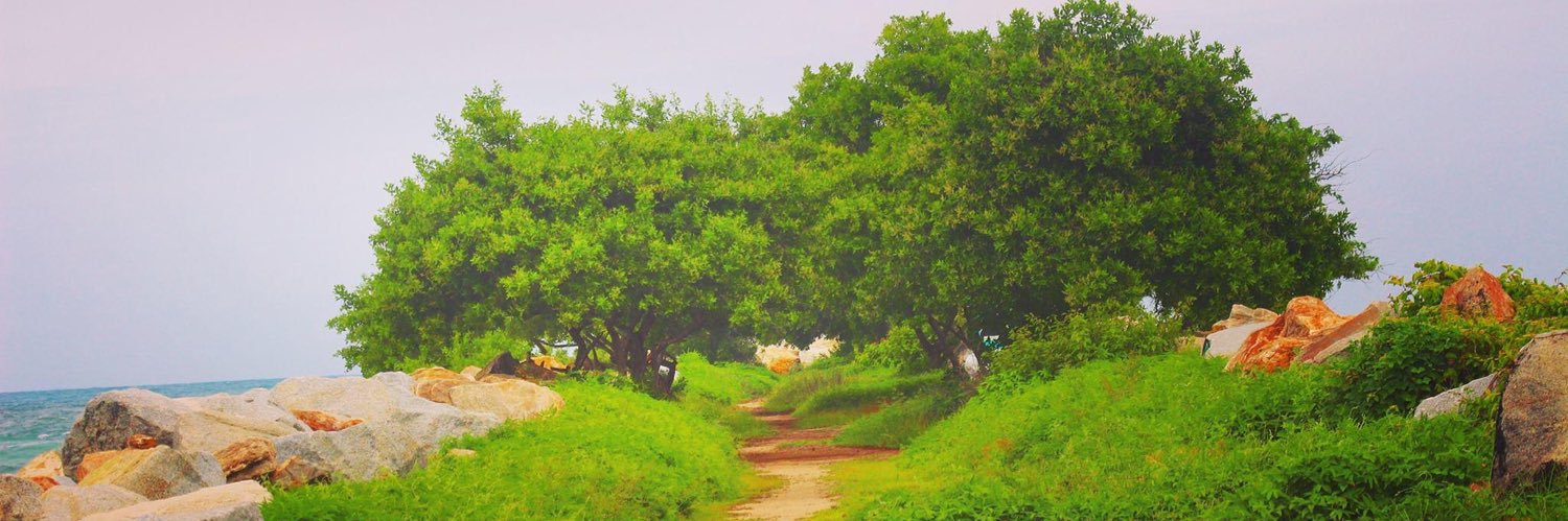 rodospino's profile banner image