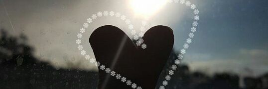 RaraNorischa's profile banner image
