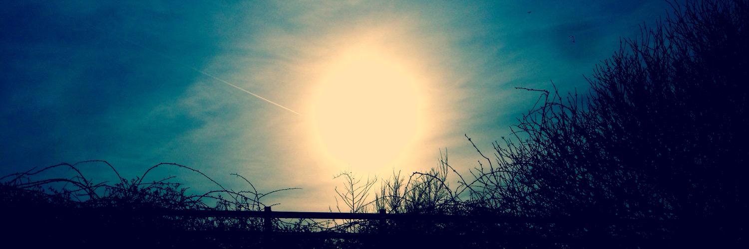 tomwyper's profile banner image