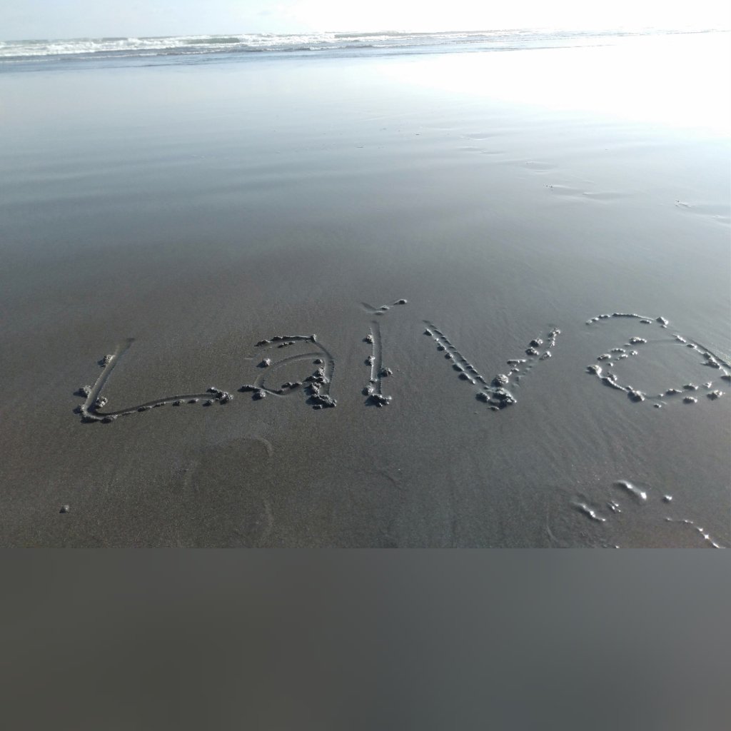 laivamay's profile banner image
