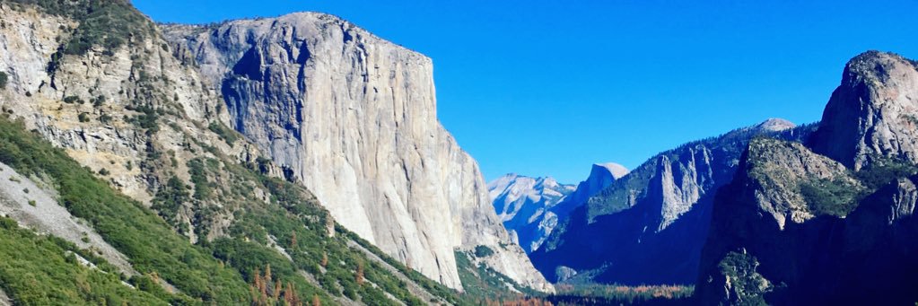 Surabhi Washishth✨ banner