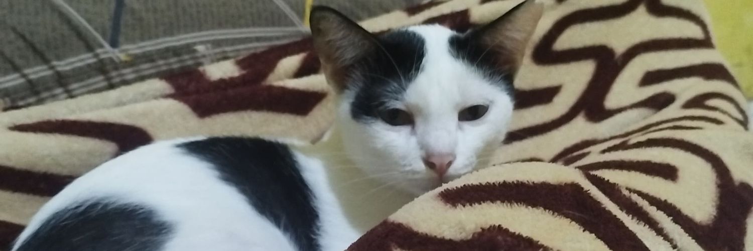 Jowy Atreides banner