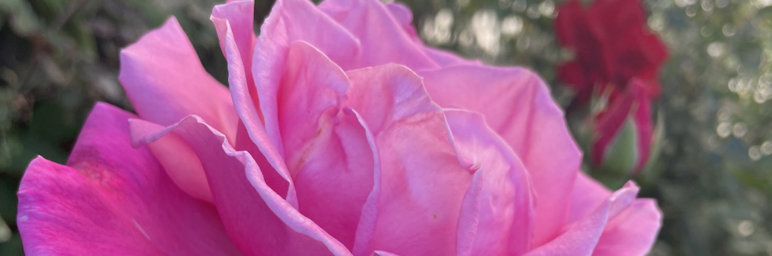 DavisBalaba's profile banner image