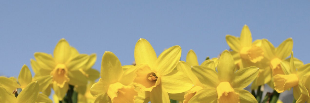 bplo59972's profile banner image