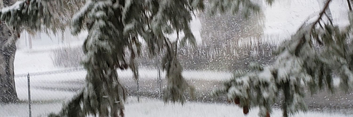 mtpopsickle's profile banner image