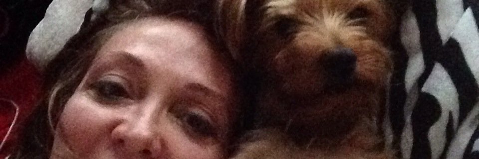 kaywells2's profile banner image