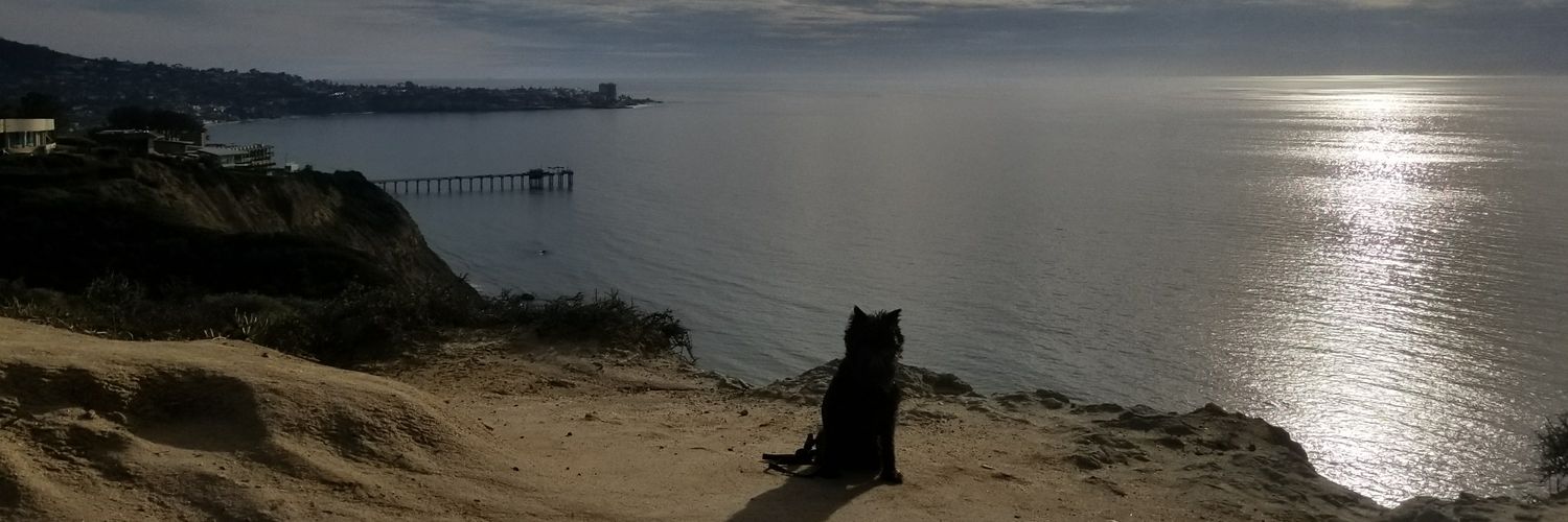 MsBullMoose's profile banner image