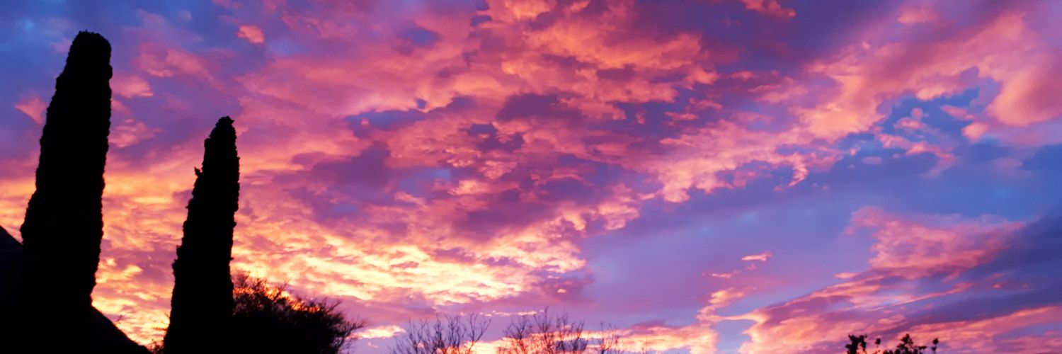 sjjaday's profile banner image