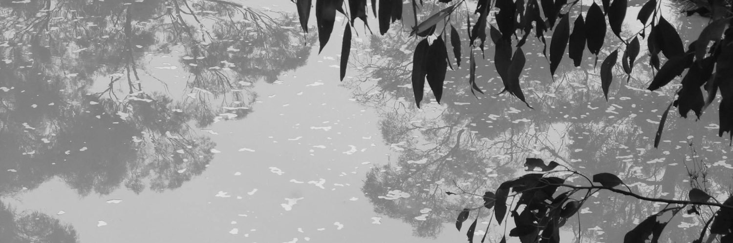 Margaret Lea Wallace banner