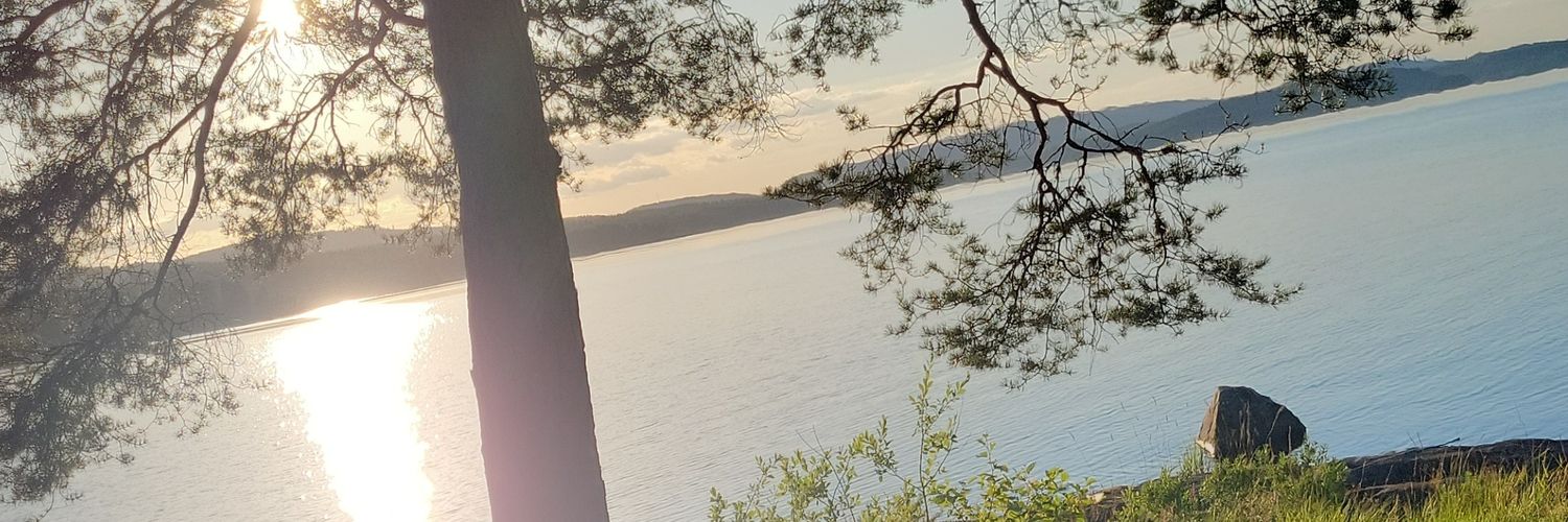 Sebastian Pisoni banner