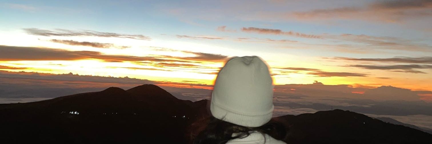 siimplyapple's profile banner image