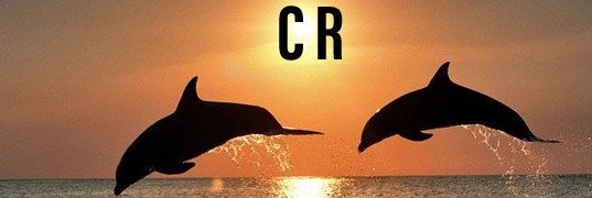 cros rosca temptera aka @littlewarriorl banner