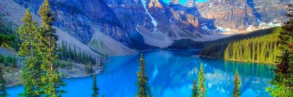 Everette L. Rice banner