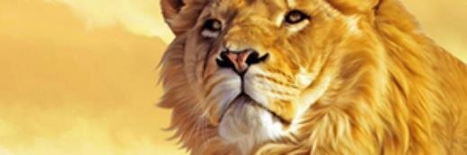 GeorgiaDave's profile banner image