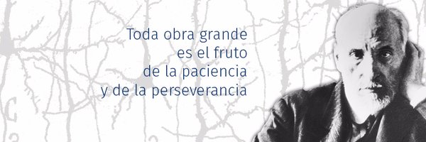 ryc_ayerbe Profile Banner