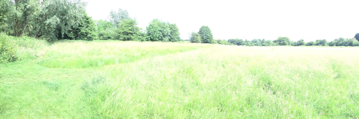 Baydons Meadow banner