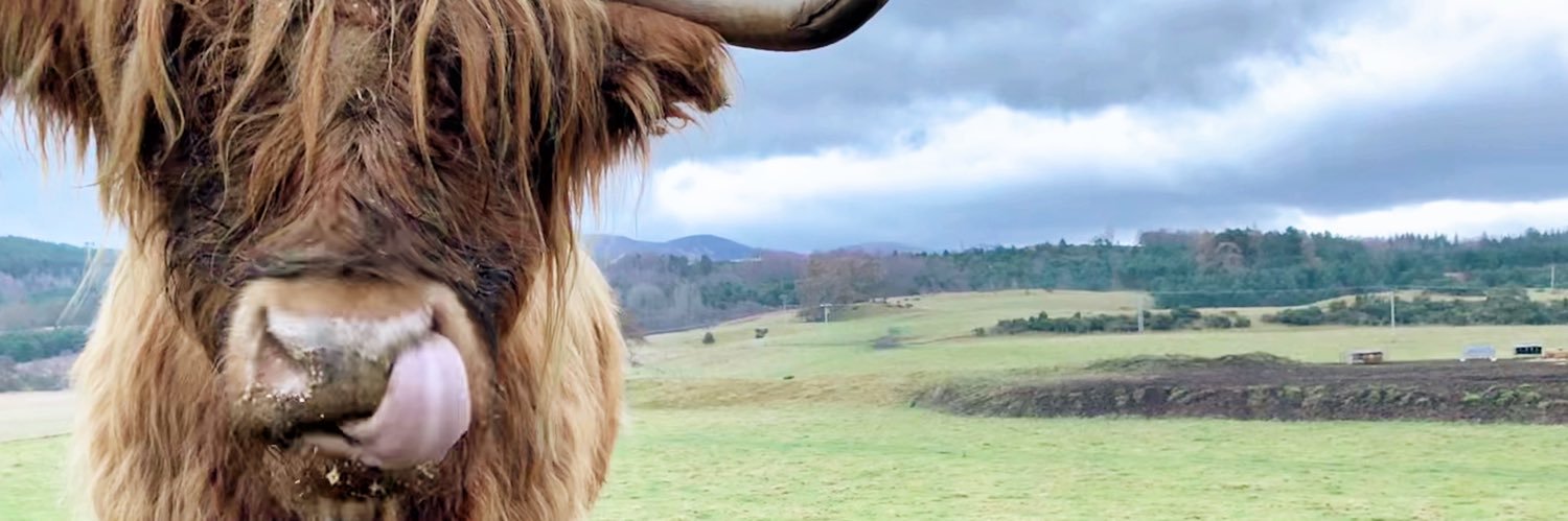 annaandthering's profile banner image