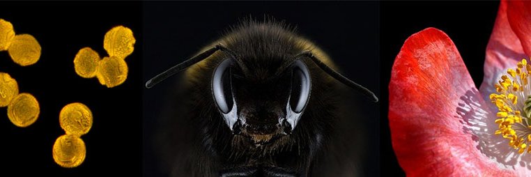 Dr Beth Nicholls- find me on Bluesky! banner