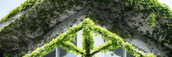 midoris0 Profile Banner