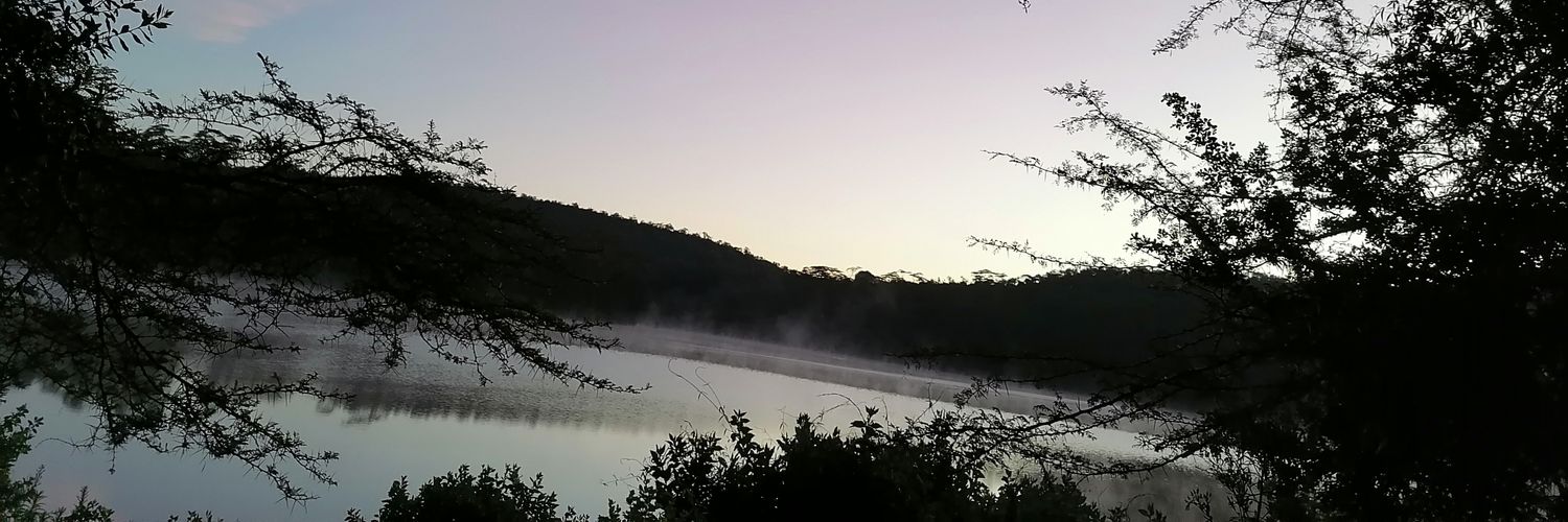 jackihelen's profile banner image