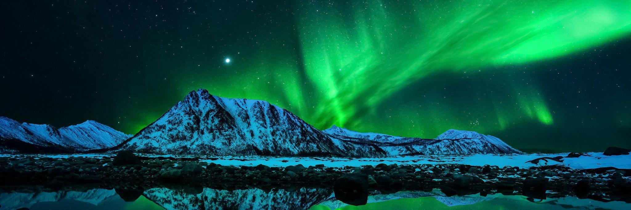 Niki Velkoska banner