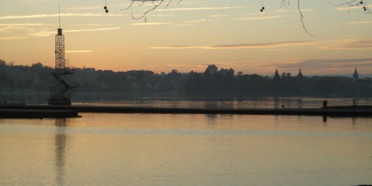 toutecrue's profile banner image