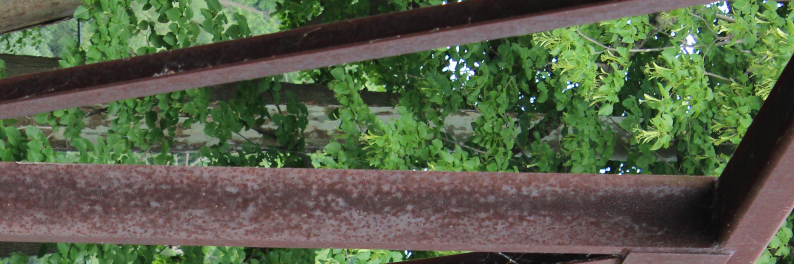 sergiouv's profile banner image