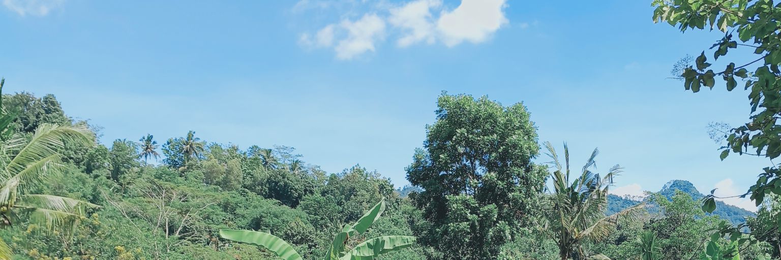 padimaspm's profile banner image