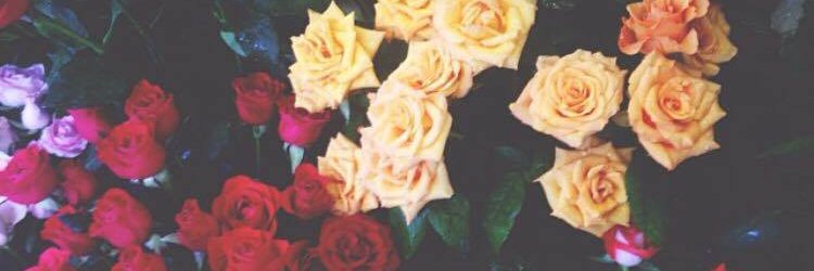 xxbrianaskye's profile banner image