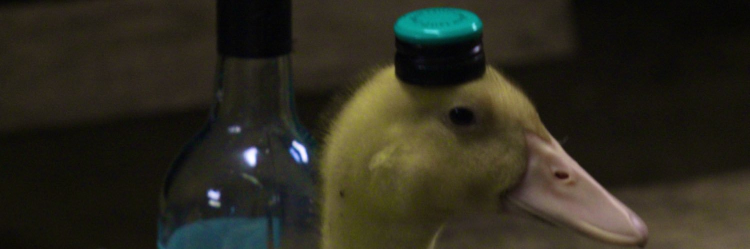 spookyminds's profile banner image