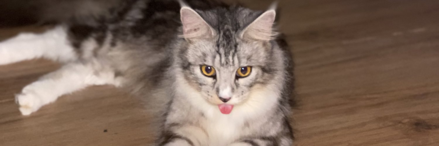 notosuman_'s profile banner image
