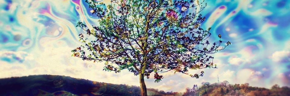 Tonito el Culé 💙💙❤️❤️ banner