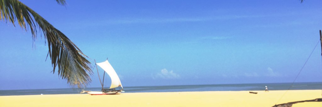 pgmathew's profile banner image