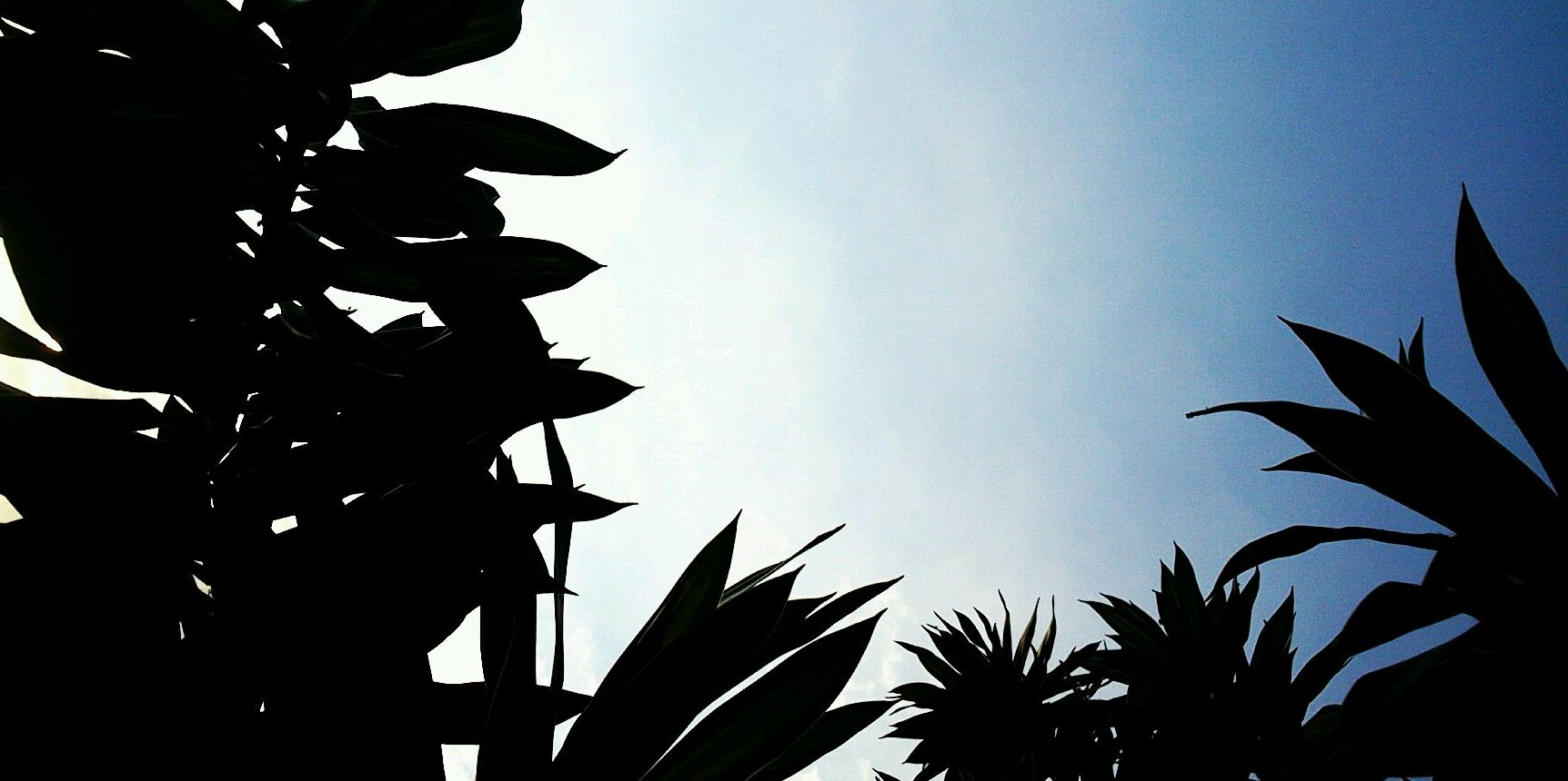 jgcDC's profile banner image