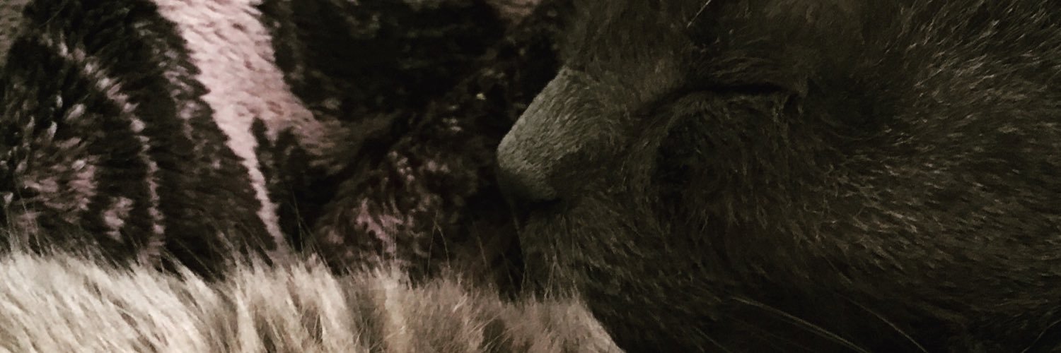 M 🦒 banner