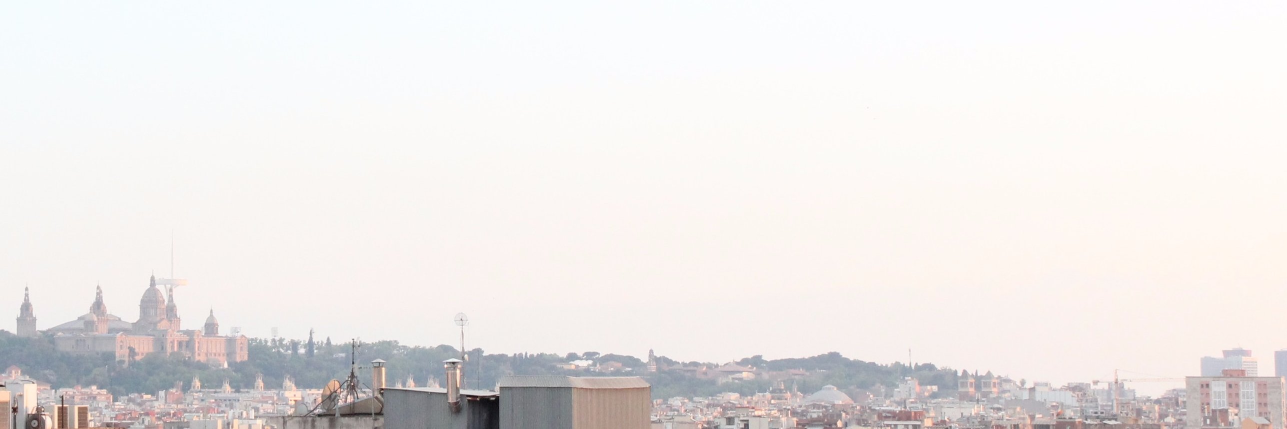 saraystd's profile banner image