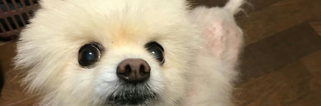 Hi2jiStyle's profile banner image