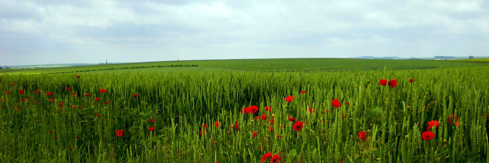 Derek Murray 🇺🇦 🇨🇦 🇬🇱 🇩🇰🗿🟢 banner