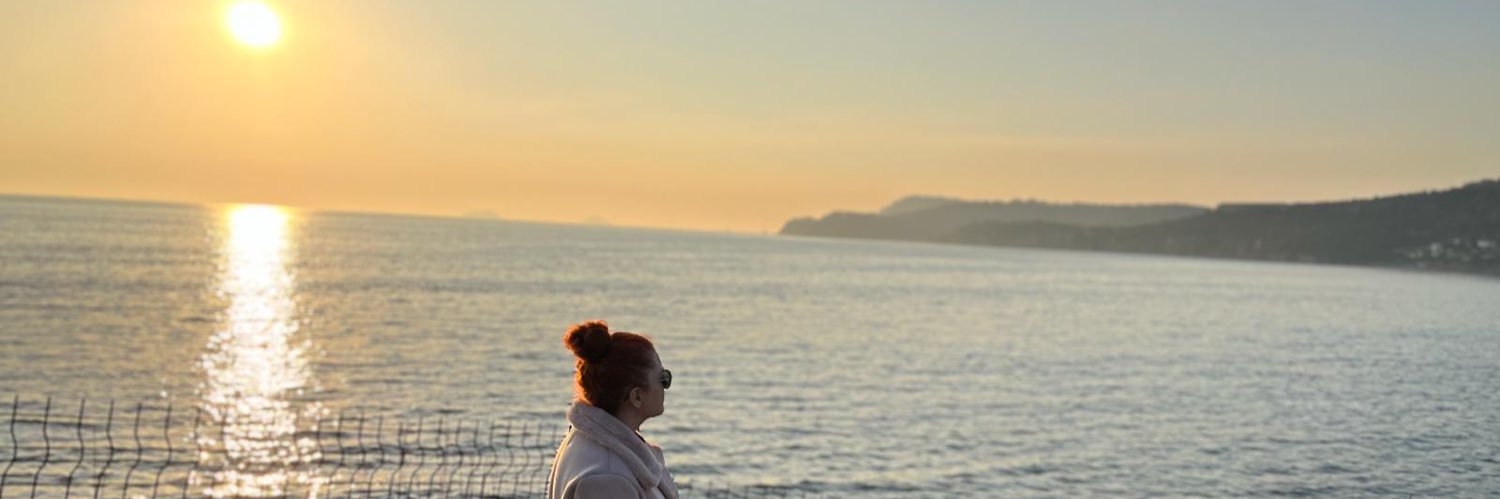 pc_remy's profile banner image